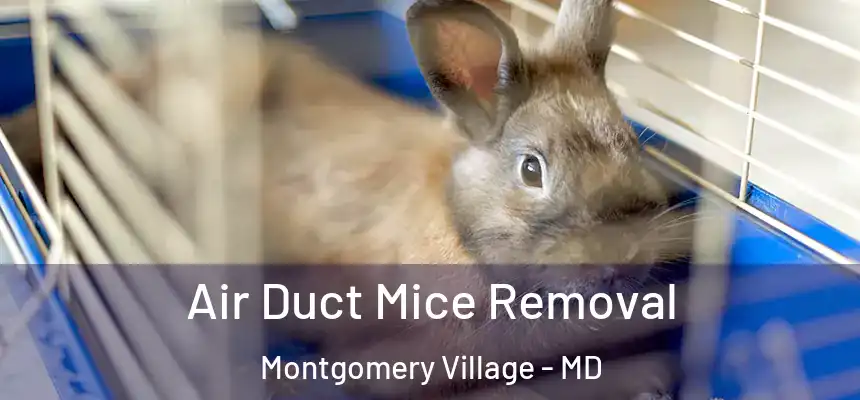 Air Duct Mice Removal Montgomery Village - MD
