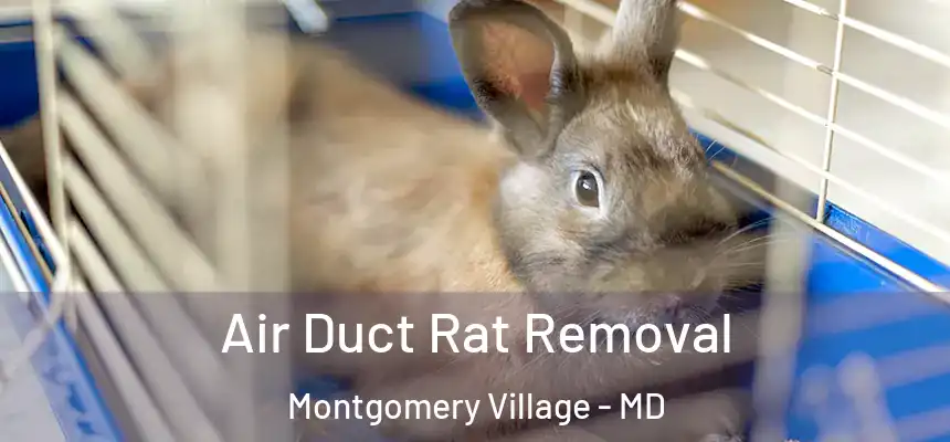 Air Duct Rat Removal Montgomery Village - MD