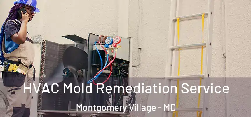 HVAC Mold Remediation Service Montgomery Village - MD
