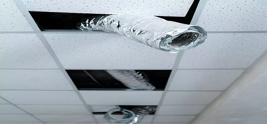 Our Air Duct Pet Hair Removal Services in Montgomery Village, MD