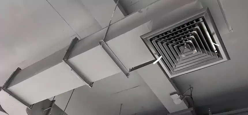 Restorative Allergy Relief Vent Cleaning – Coil, Blower & Housing Detail in Montgomery Village