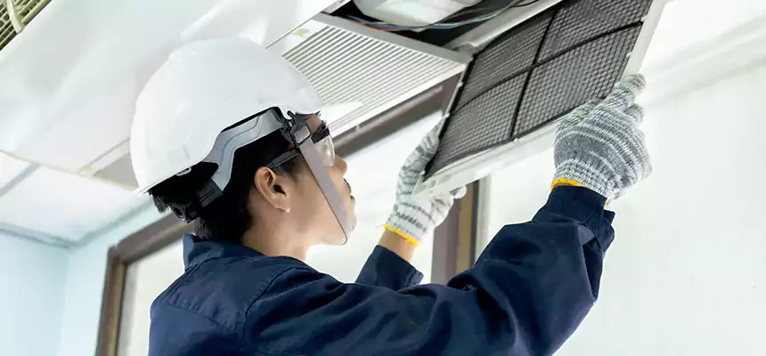 Our Mold & Mildew Removal from Air Ducts Services in Montgomery Village, MD