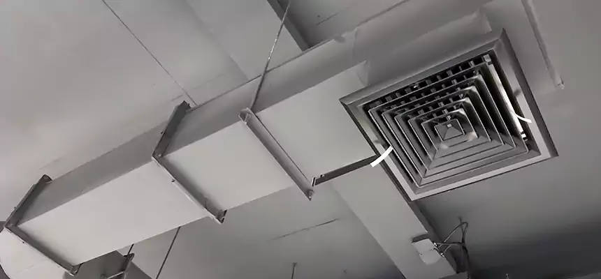 Our Pest Removal From Ducts Services in Montgomery Village, MD