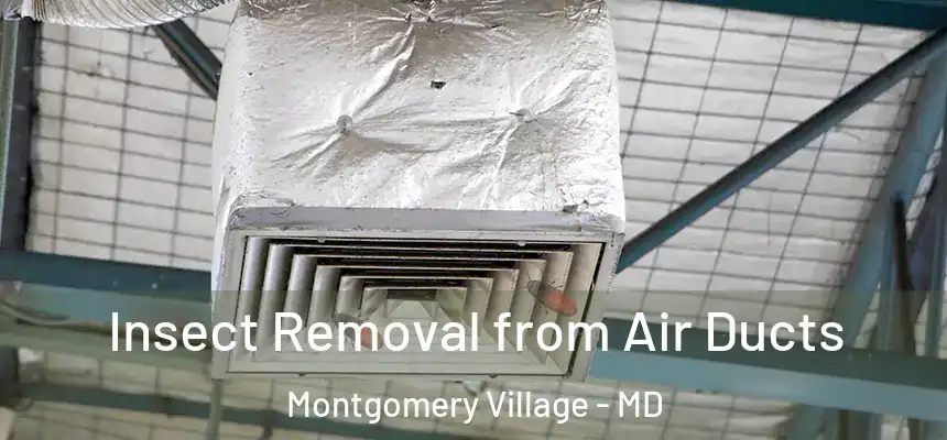 Insect Removal from Air Ducts Montgomery Village - MD