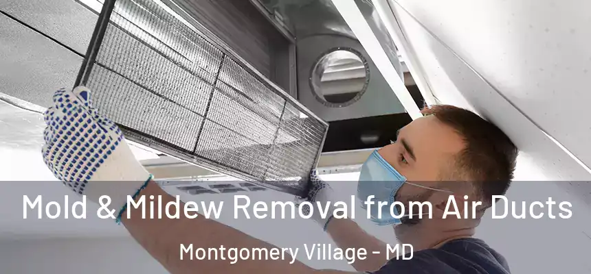 Mold & Mildew Removal from Air Ducts Montgomery Village - MD