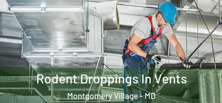  Rodent Droppings In Vents Montgomery Village - MD