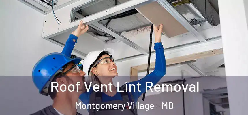 Roof Vent Lint Removal Montgomery Village - MD
