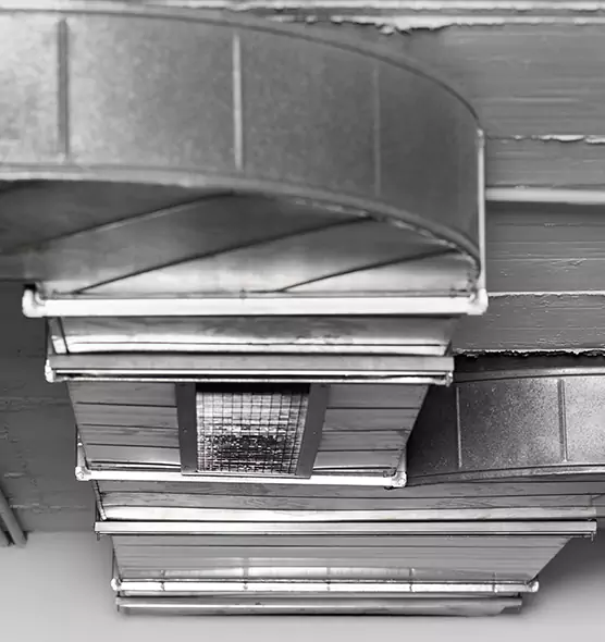 Professional Air Duct Pest Removal in Montgomery Village, MD