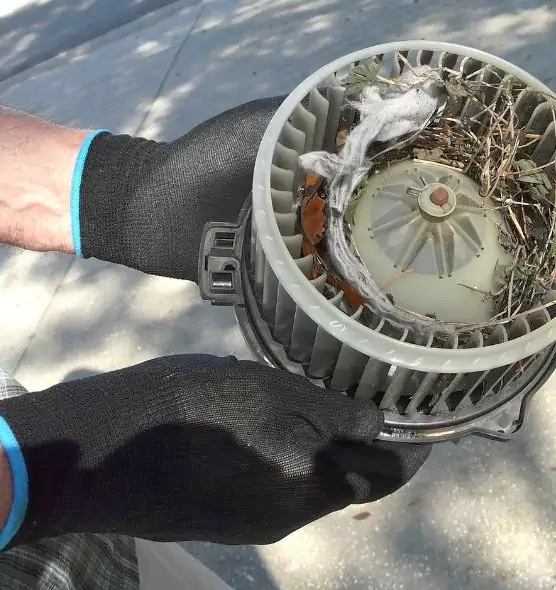 About Air Duct Rat Removal in Montgomery Village, MD