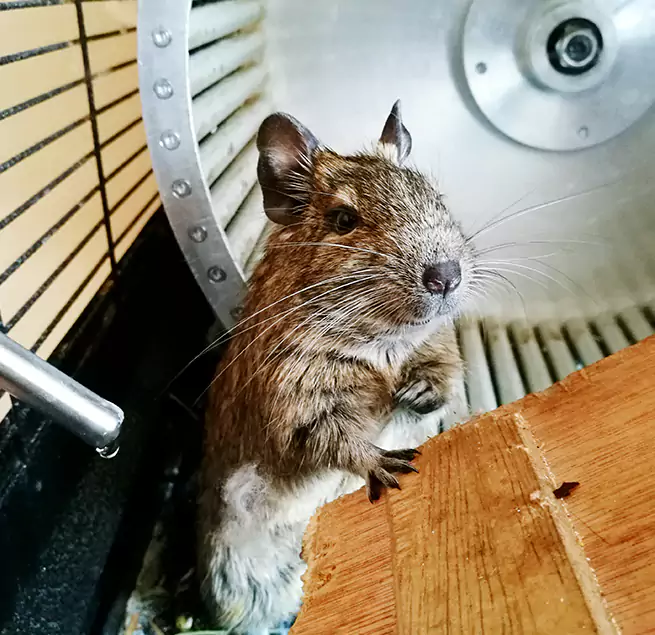 Why Homeowners & Businesses Trust Us Montgomery Village, MD